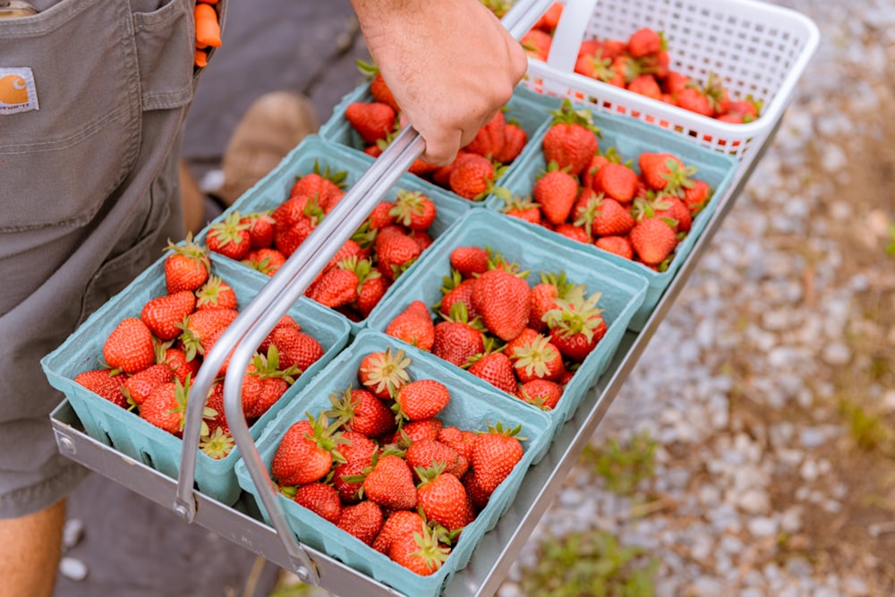 a person is holding a tray of strawberries