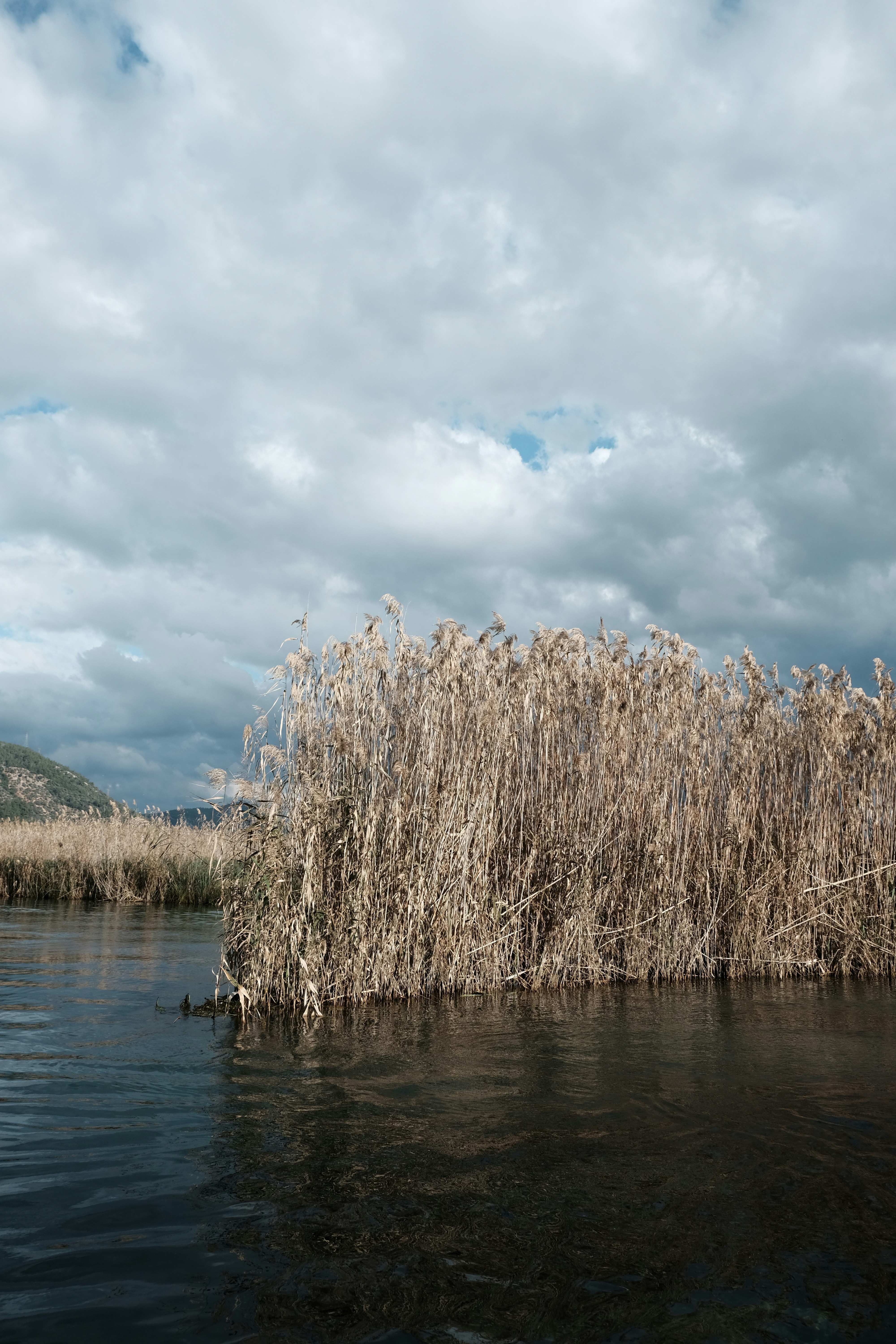 Photo by tunahangunkan