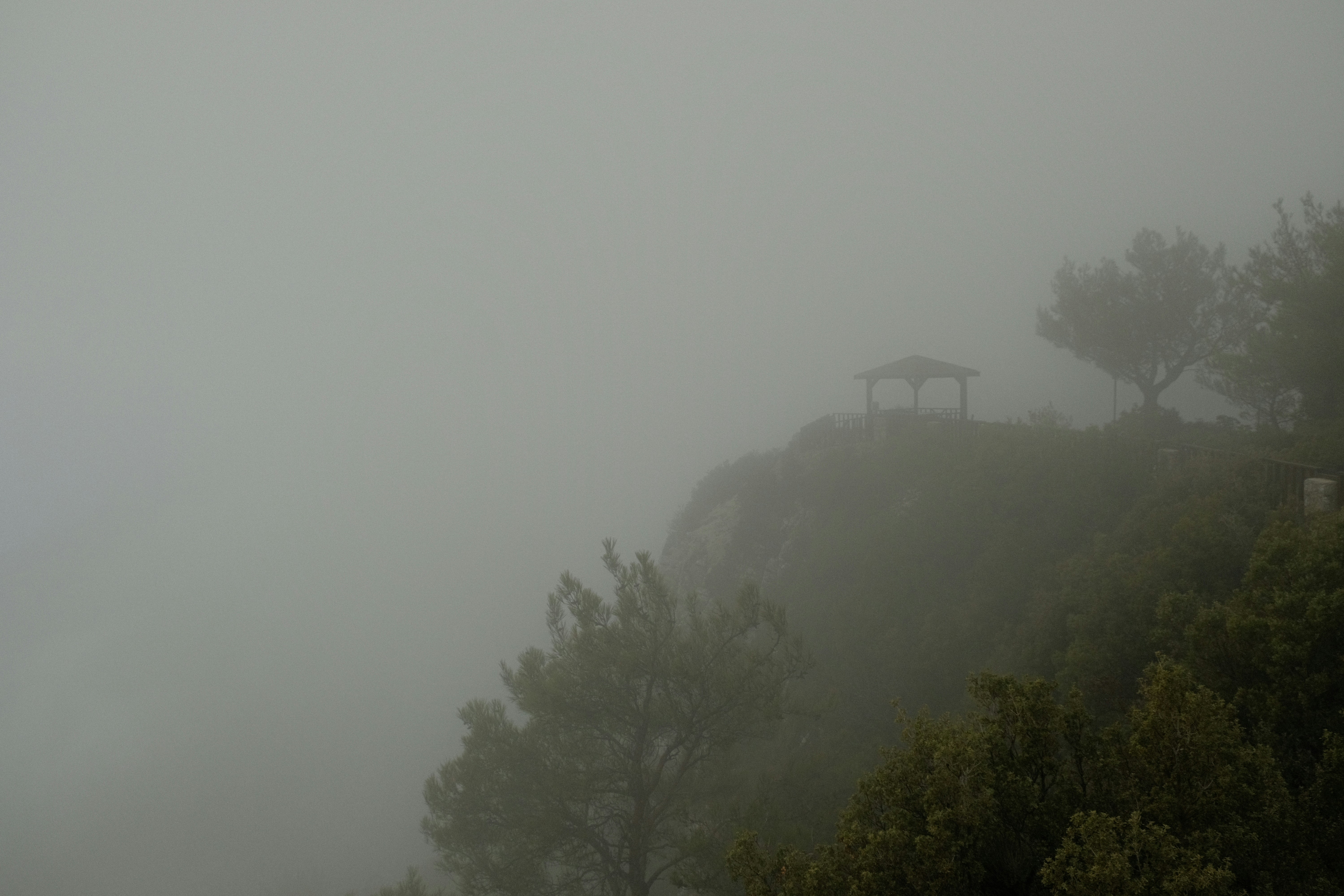 una colina cubierta de niebla con árboles y un mirador
