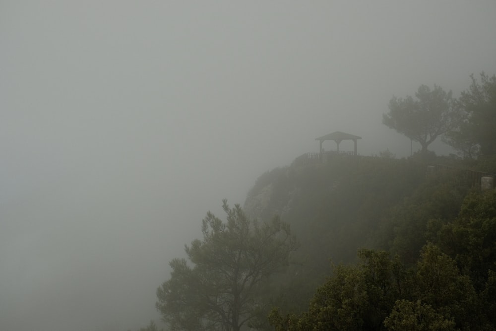 a hill covered in fog with trees and a gazebo