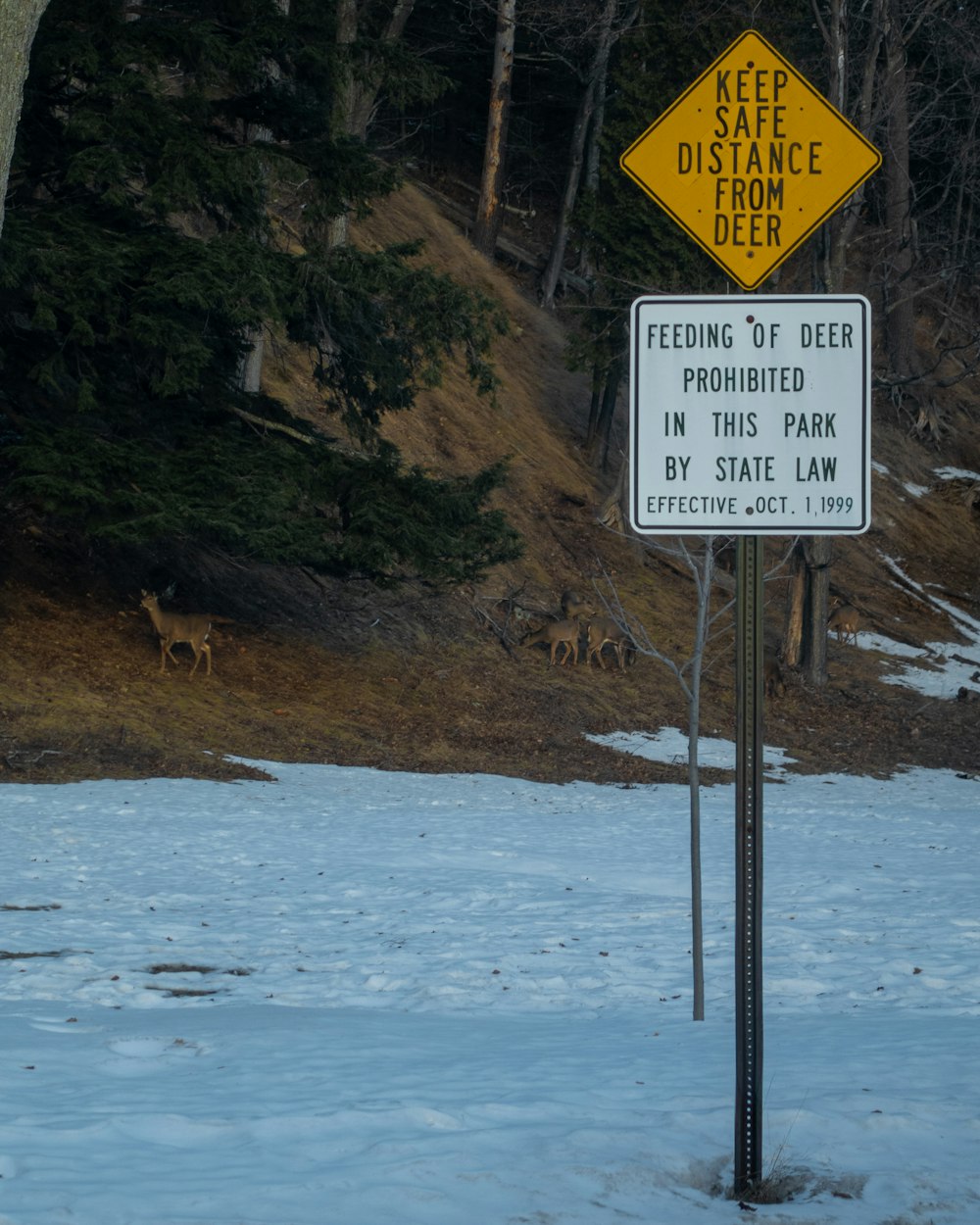 a yellow and white sign on a pole in the snow