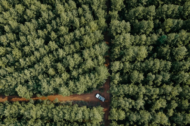 丰田landcruiser是什么车