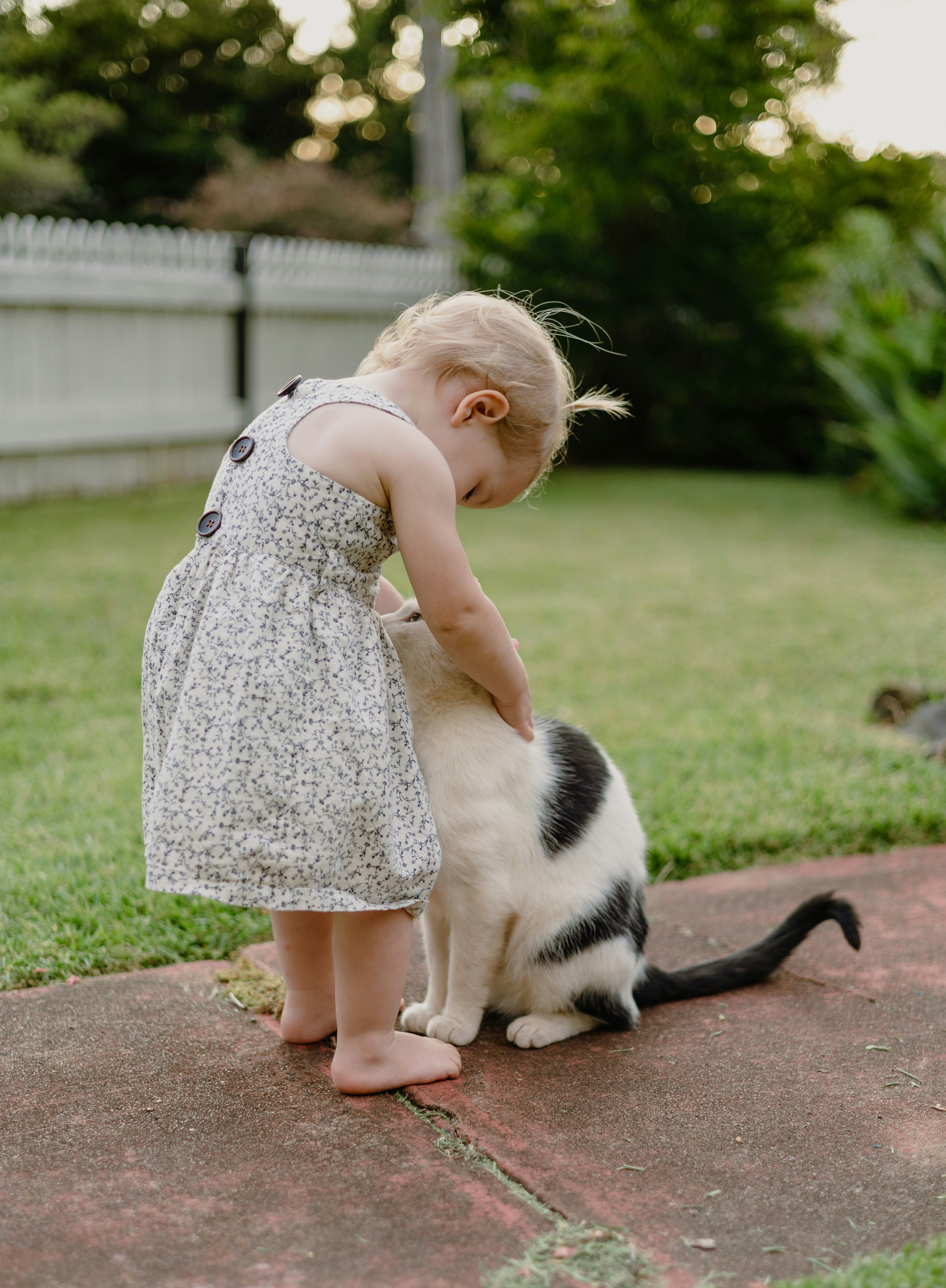 Rubbing Against You: Scent Marking with Love (image credits: unsplash)