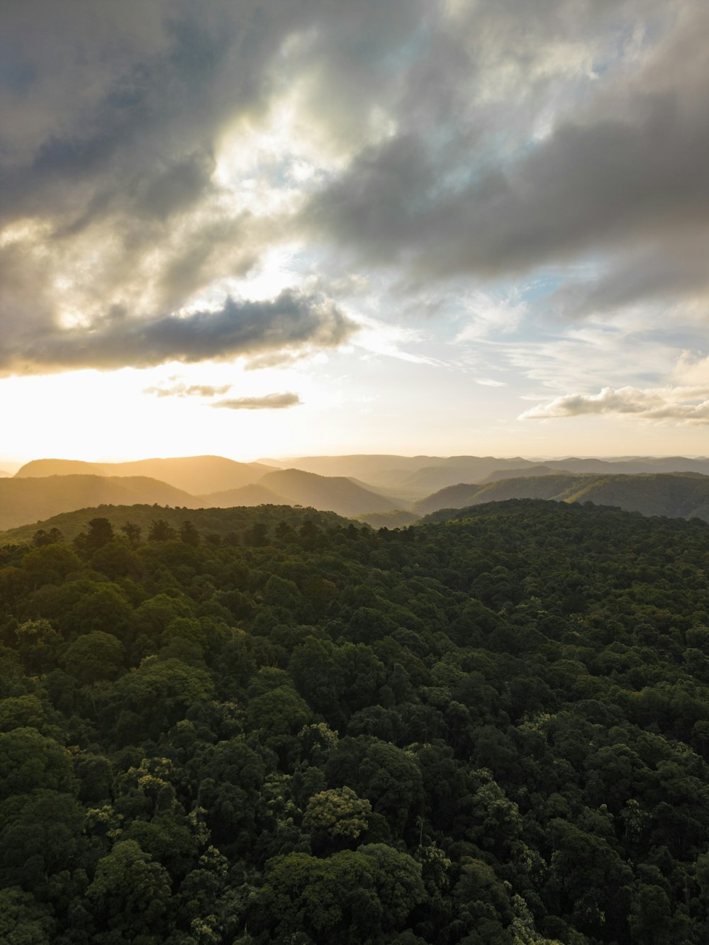 an aerial view of a forest at sunset