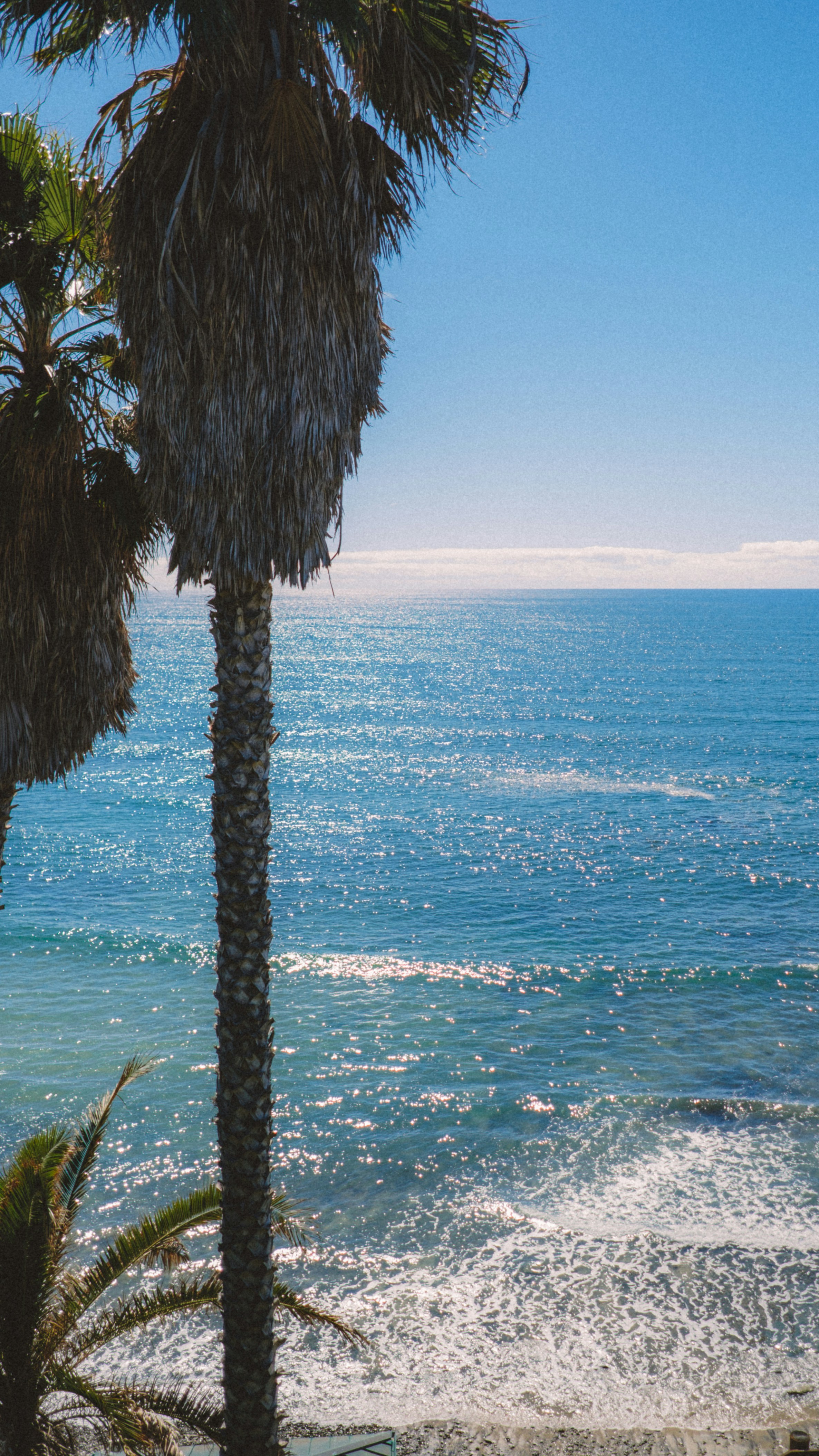 Photo by marsupialpudding