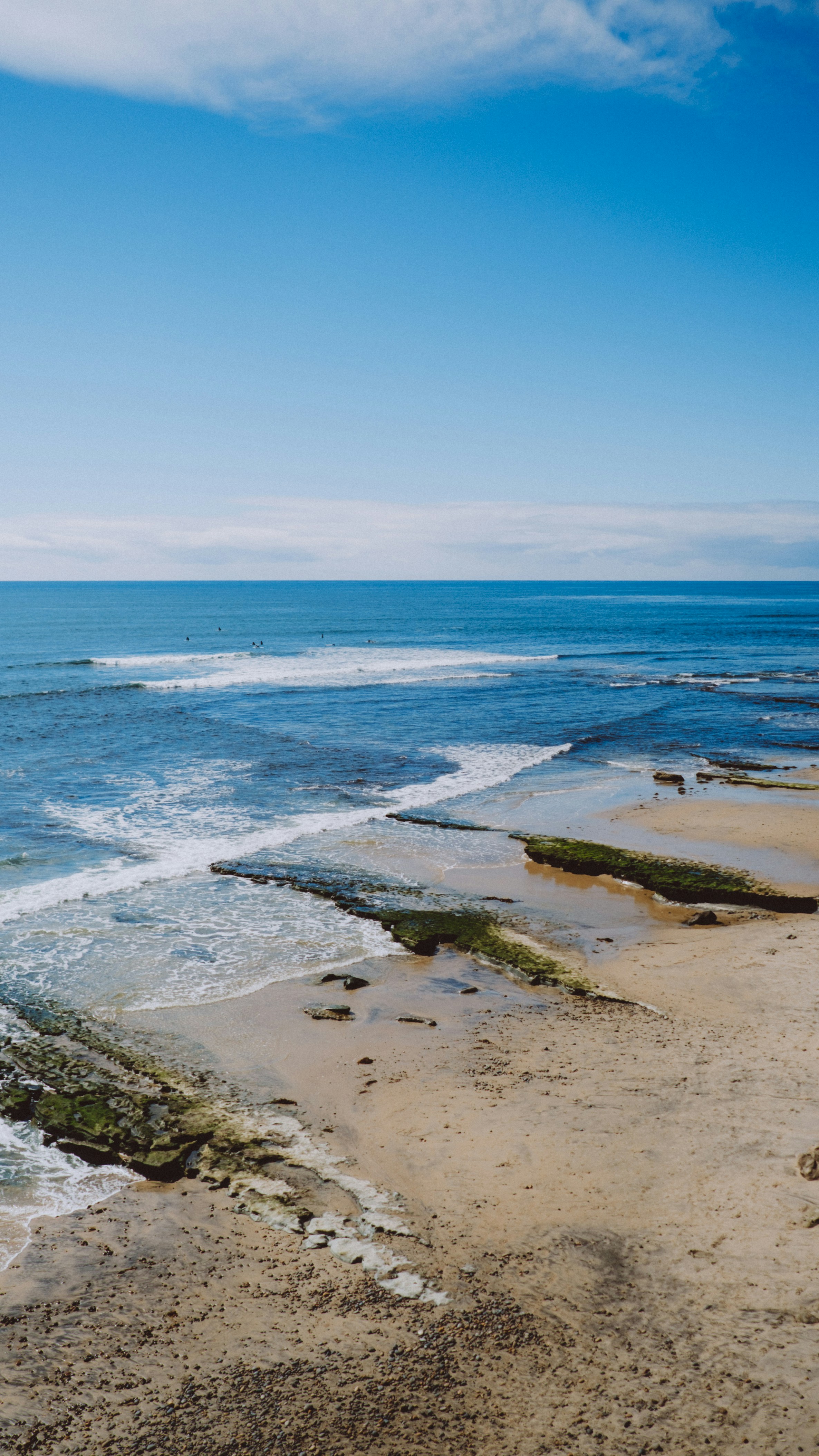 Photo by marsupialpudding