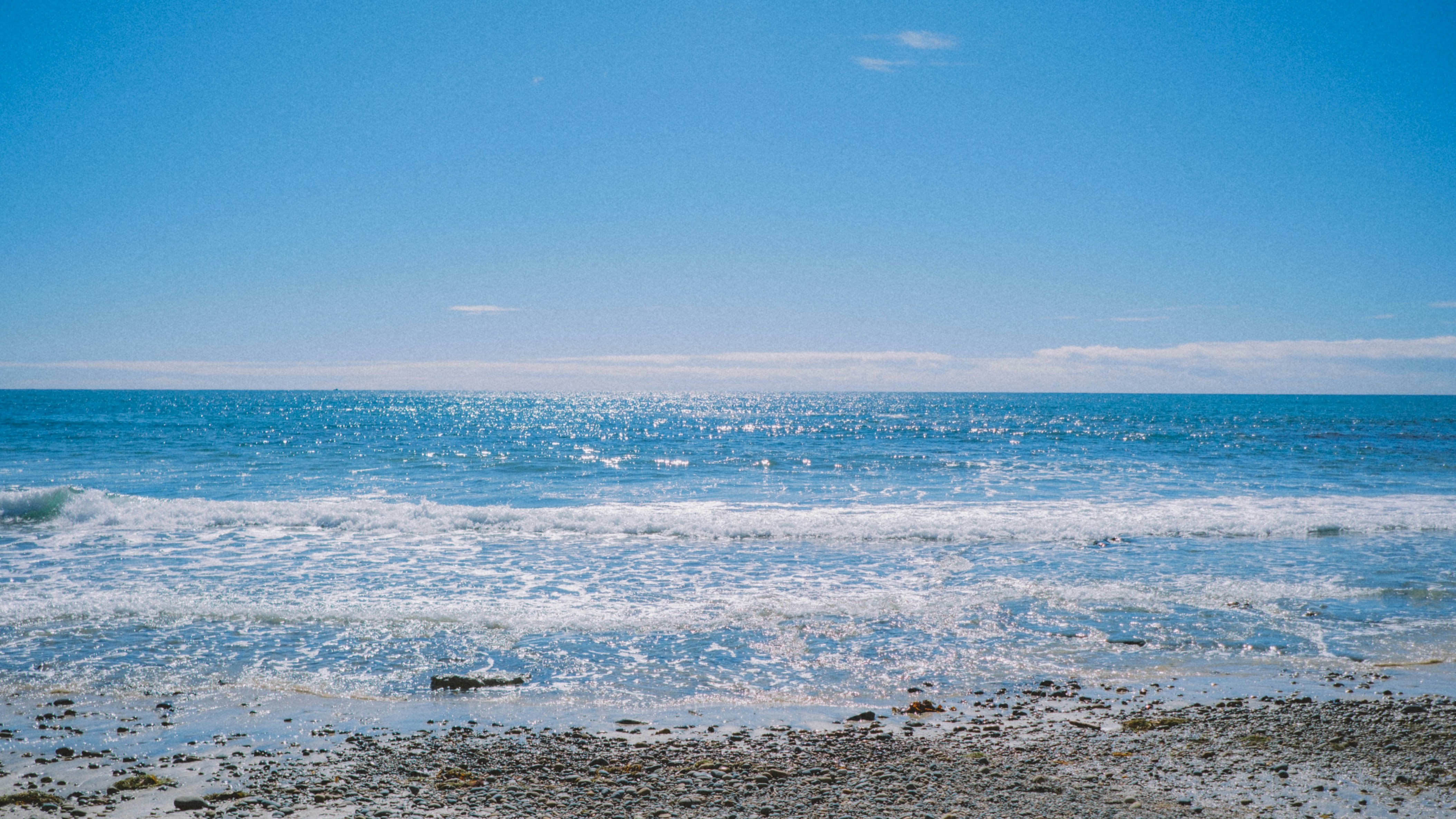 Photo by marsupialpudding