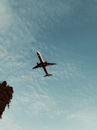 A commercial airplane is flying overhead against a backdrop of a bright blue sky with scattered, fluffy clouds. The silhouette of a tree is visible in the lower left corner of the image, adding a natural element to the scene.