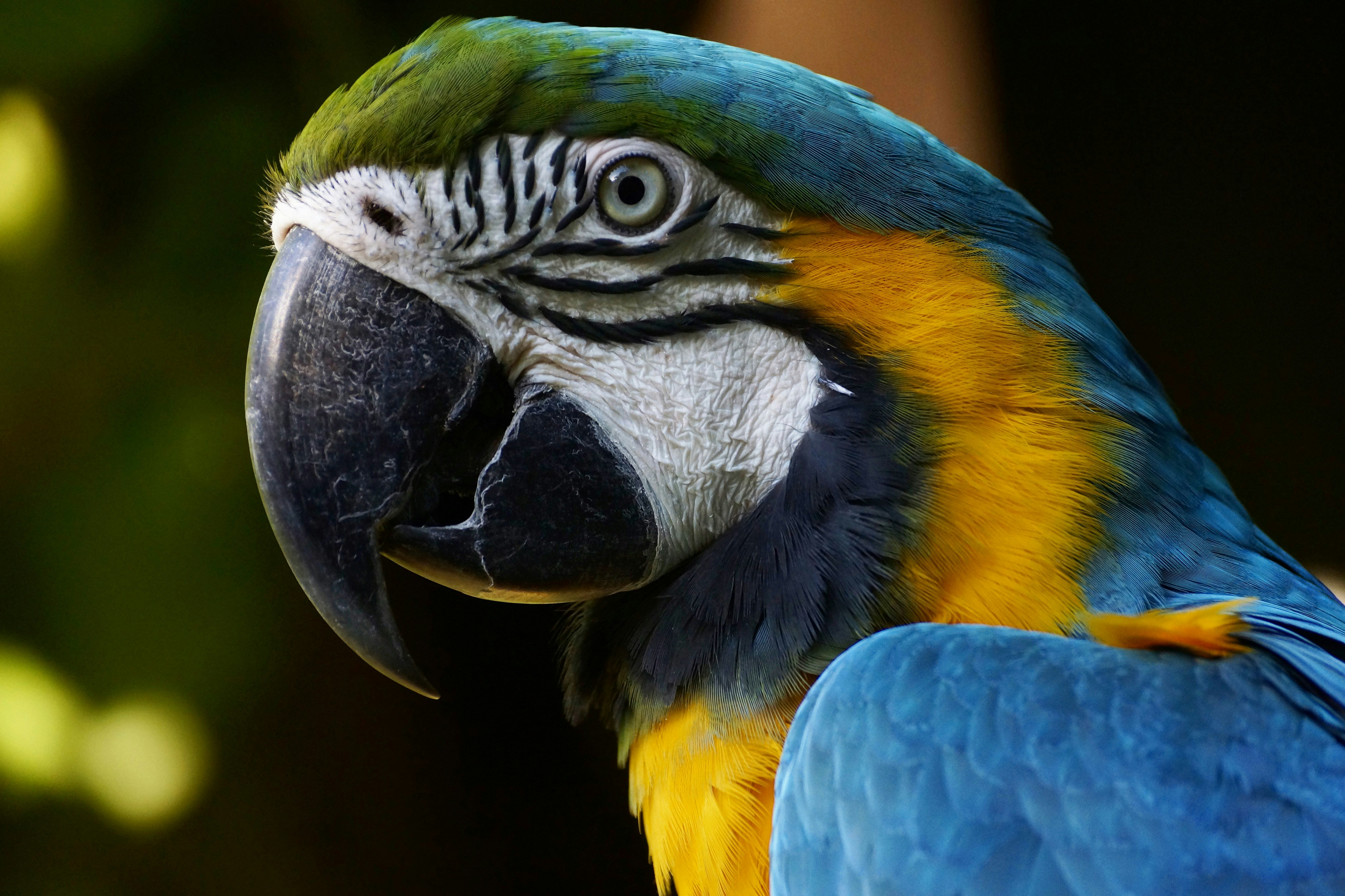 Photo by miqueridoalex