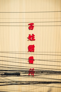 Red Chinese characters are displayed vertically on a yellow wall, with numerous black electrical cables crossing in front.
