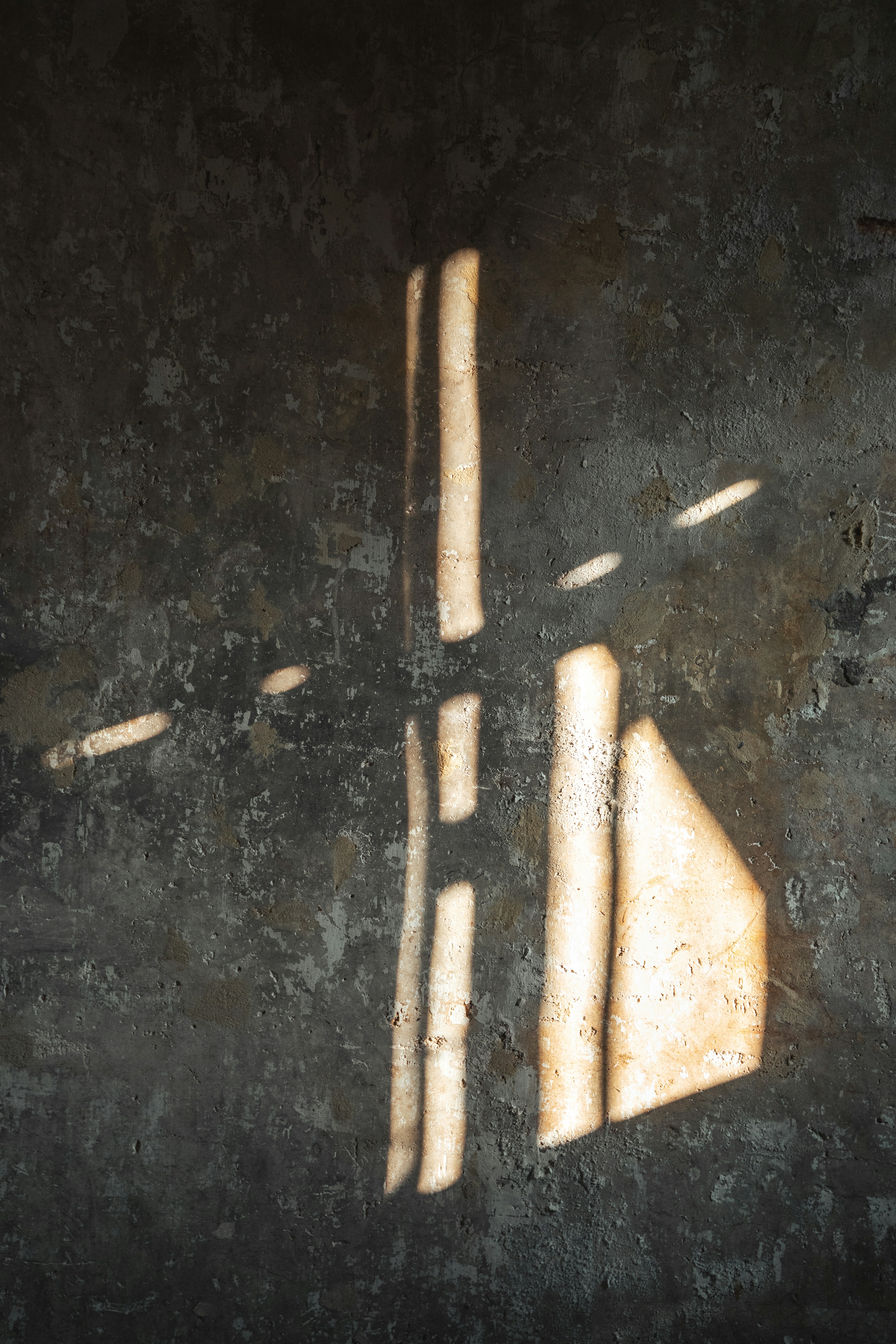 Photo by alexander_kaufmann