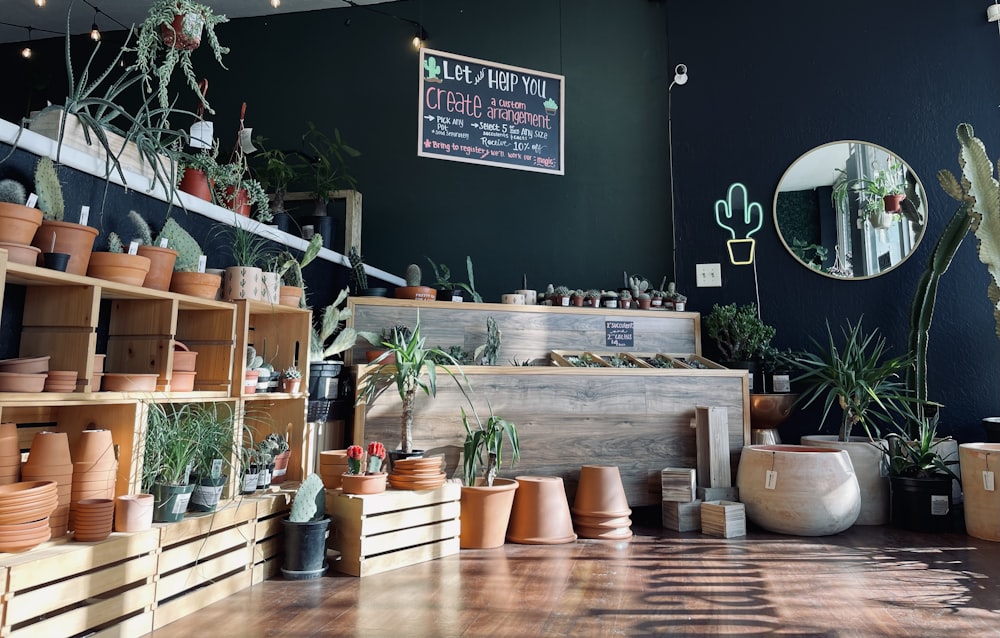 a room filled with lots of potted plants