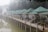 A serene lakeside scene with several small, quaint cabins built on stilts over the water, featuring green metal roofs and light-colored walls. The cabins are connected by a wooden walkway with white railings, lined with potted plants. A life preserver hangs on the railing, and the entire area is enveloped in a misty, foggy atmosphere, with trees visible in the background.