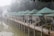 A serene lakeside scene with several small, quaint cabins built on stilts over the water, featuring green metal roofs and light-colored walls. The cabins are connected by a wooden walkway with white railings, lined with potted plants. A life preserver hangs on the railing, and the entire area is enveloped in a misty, foggy atmosphere, with trees visible in the background.