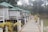 A row of small, white wooden cabins with green metal roofs is built on stilts over a body of water. Each cabin has a small porch with chairs visible. A wooden walkway lined with potted plants leads to the cabins. The area is surrounded by lush greenery and trees, creating a serene and tranquil atmosphere.