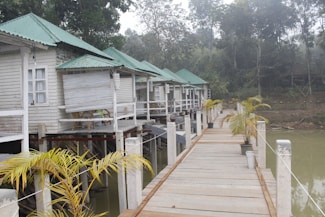 A row of small, white wooden cabins with green metal roofs is built on stilts over a body of water. Each cabin has a small porch with chairs visible. A wooden walkway lined with potted plants leads to the cabins. The area is surrounded by lush greenery and trees, creating a serene and tranquil atmosphere.
