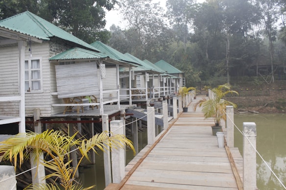 A row of small, white wooden cabins with green metal roofs is built on stilts over a body of water. Each cabin has a small porch with chairs visible. A wooden walkway lined with potted plants leads to the cabins. The area is surrounded by lush greenery and trees, creating a serene and tranquil atmosphere.