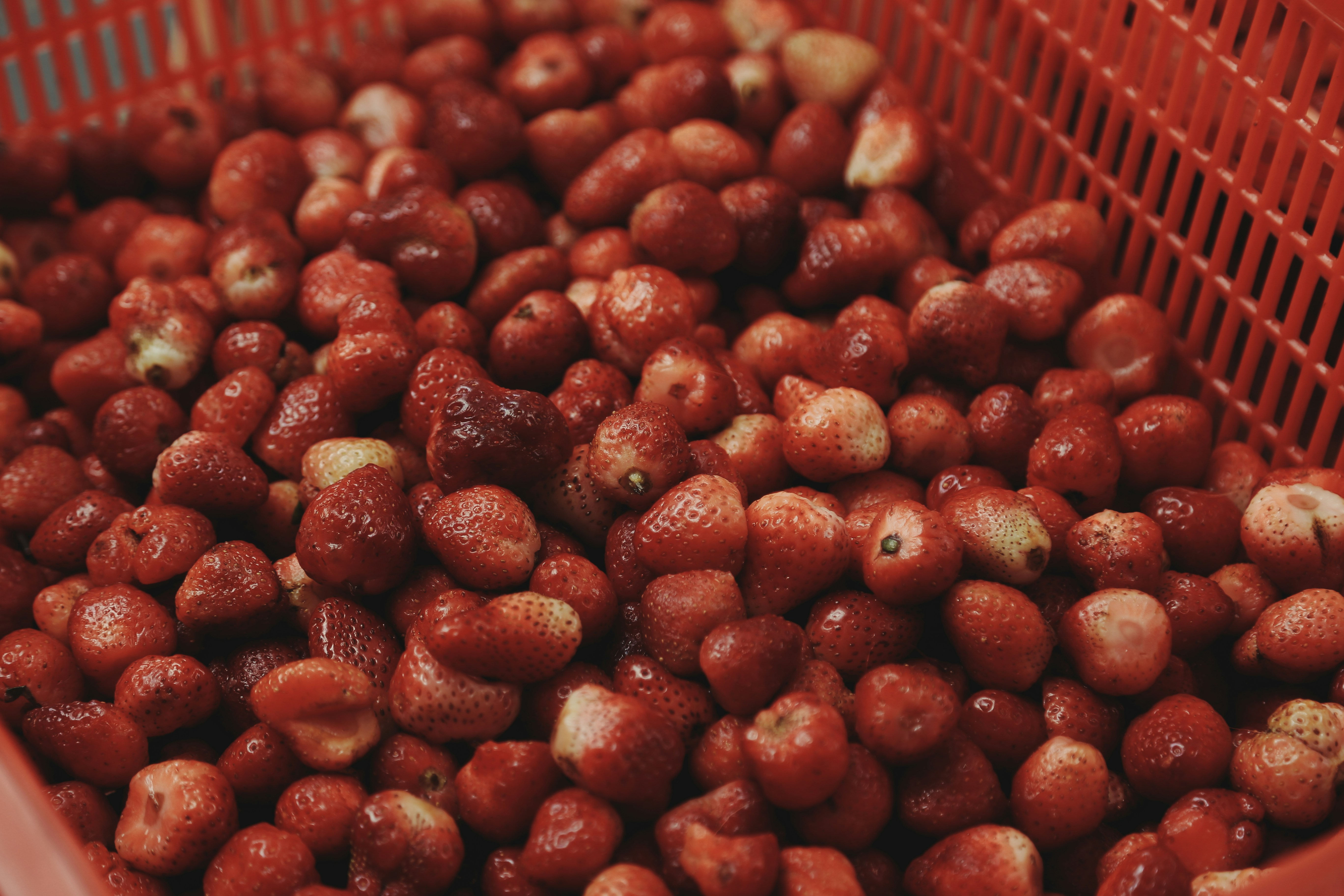 Photo by chankhang04