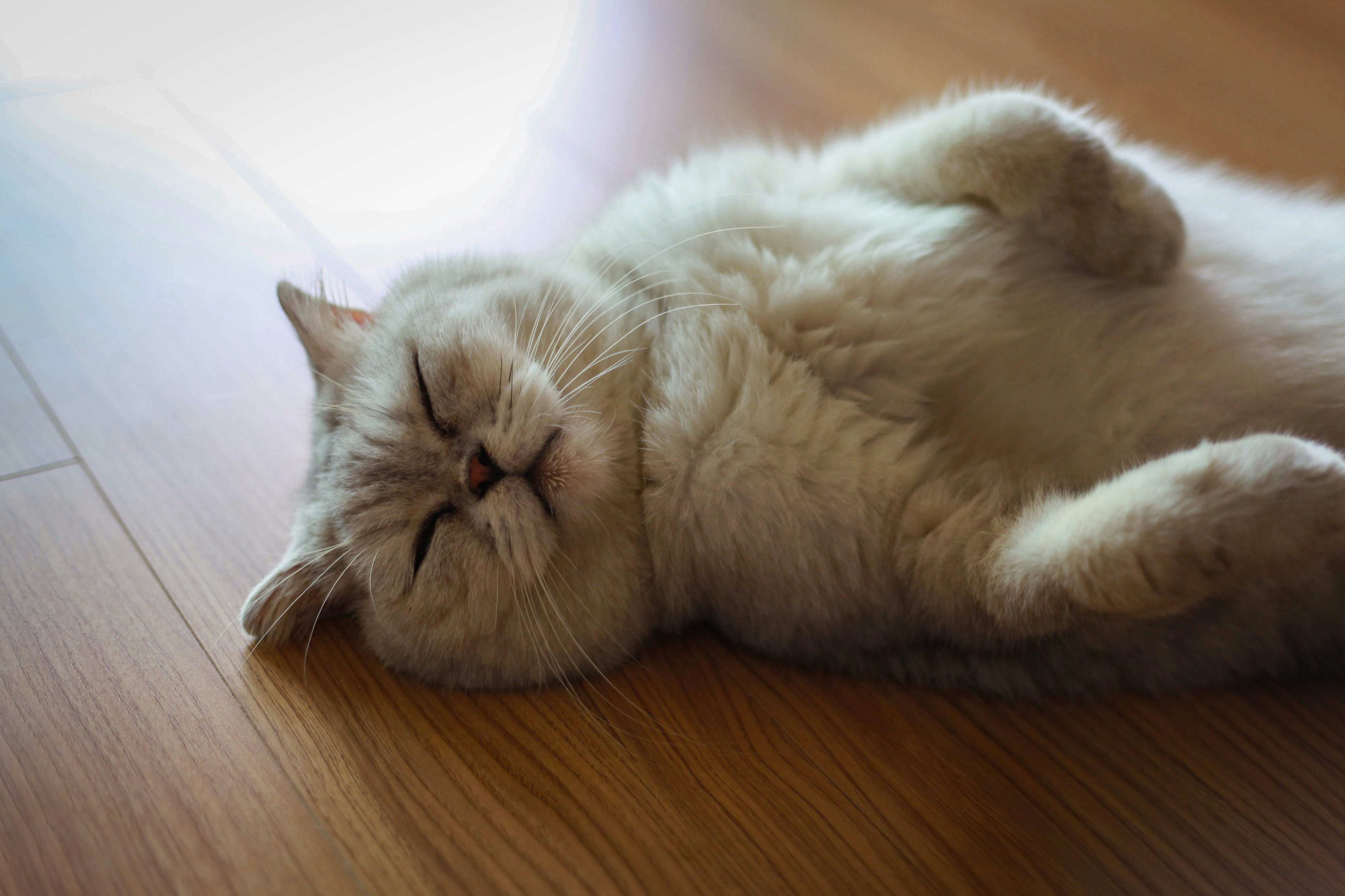 Photo by curtisnguyen