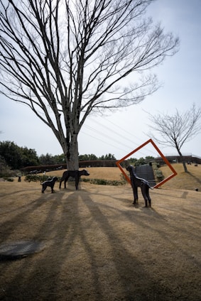 A large, leafless tree casts long shadows over a grassy area. Three dark, sculptural figures of dogs stand on the grass, with one holding an orange square frame on its back. The background includes a smaller tree, greenery, and a hill with a staircase.