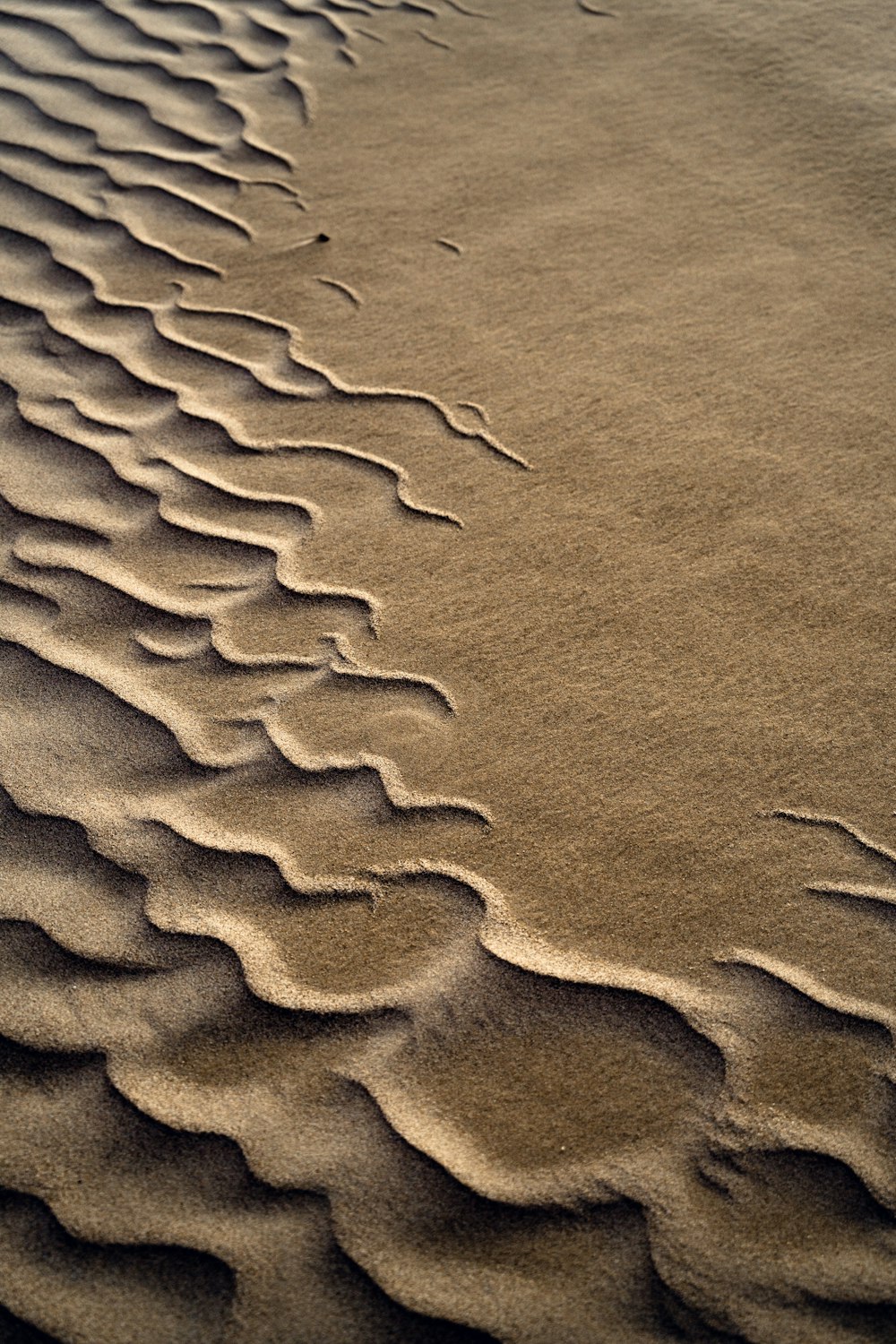 a sandy area with wavy lines in the sand