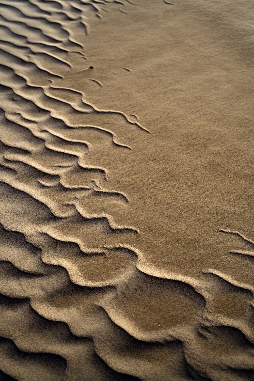 uma área arenosa com linhas onduladas na areia
