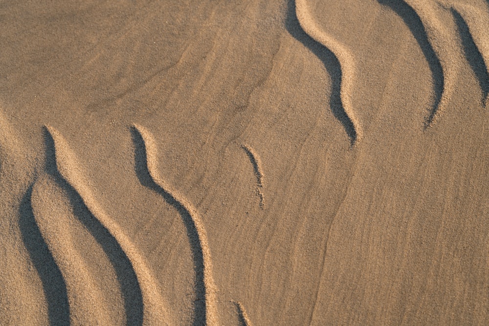 a sand dune with wavy lines in the sand