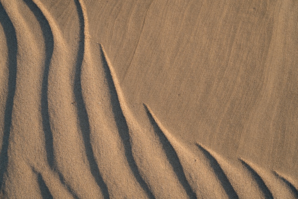 a sand dune with wavy lines in the sand