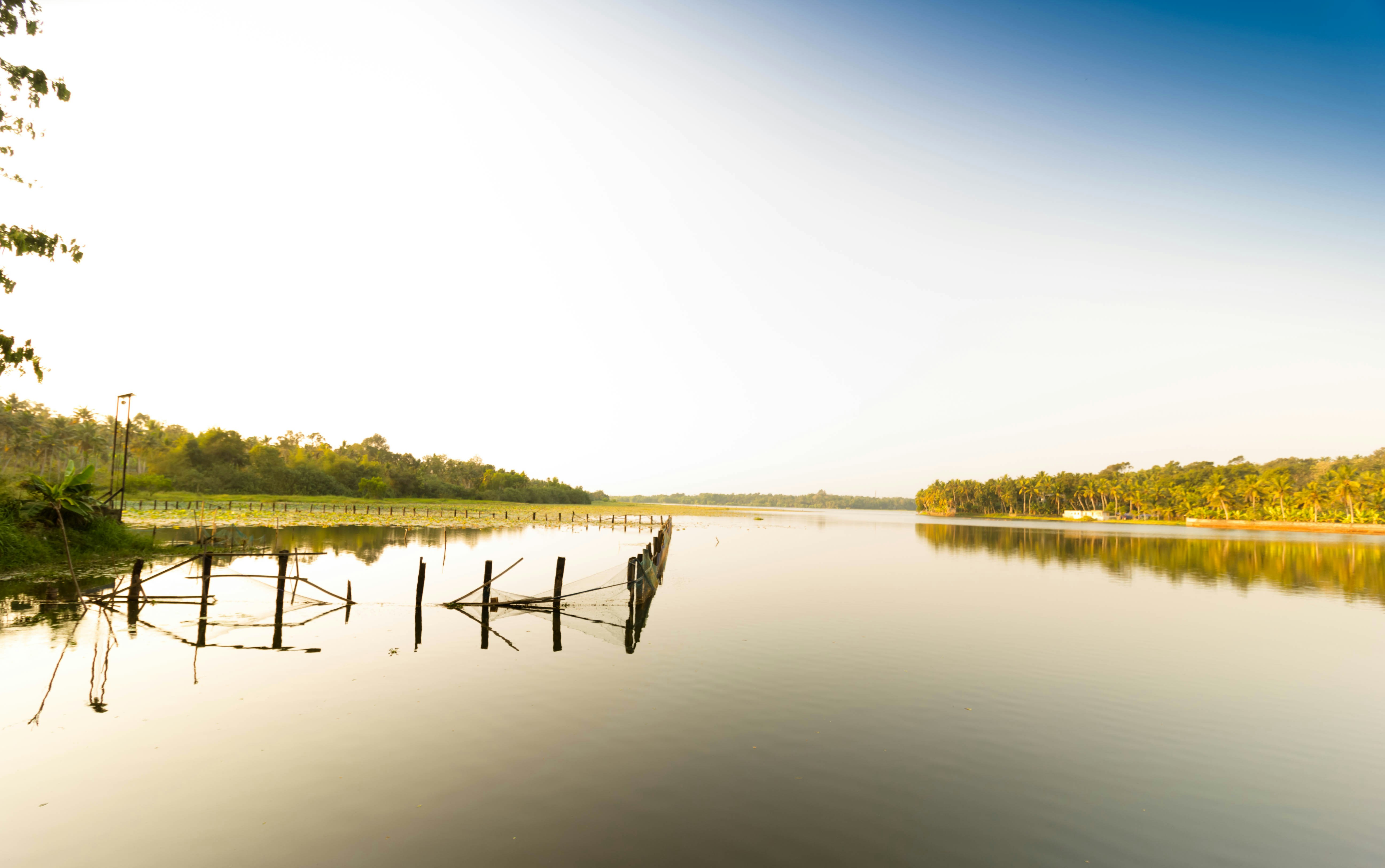 Photo by nithinpurple1