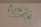 Graffiti text reading 'Funkys Crew' is painted in green on a beige wall, with some drips visible at the bottom of the letters.
