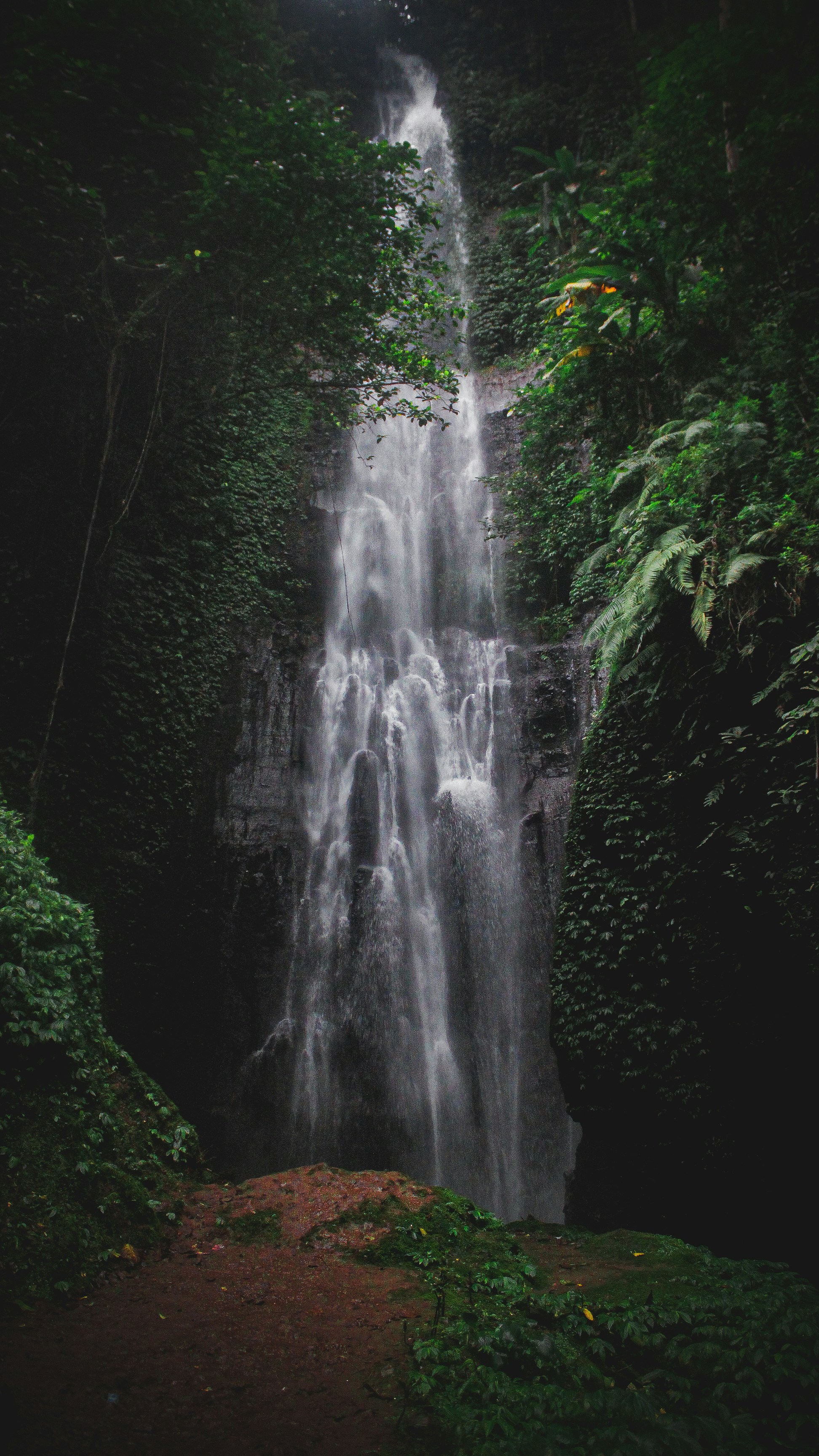 Photo by iqbaladitama91