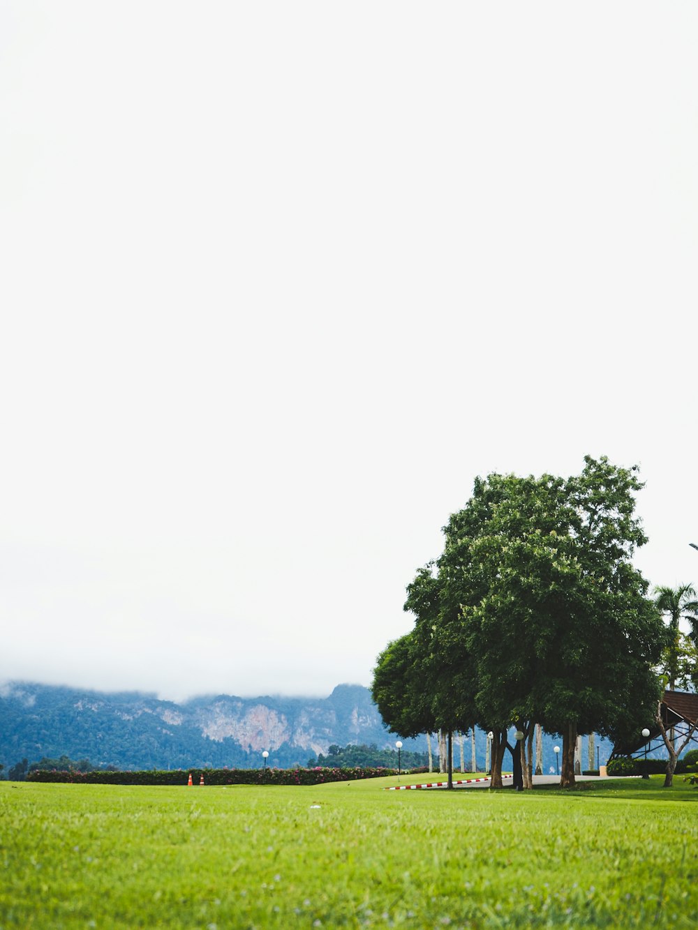 a large grassy field with trees in the background