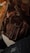 A close-up of a stylish handbag displayed on a wooden table with soft natural lighting.