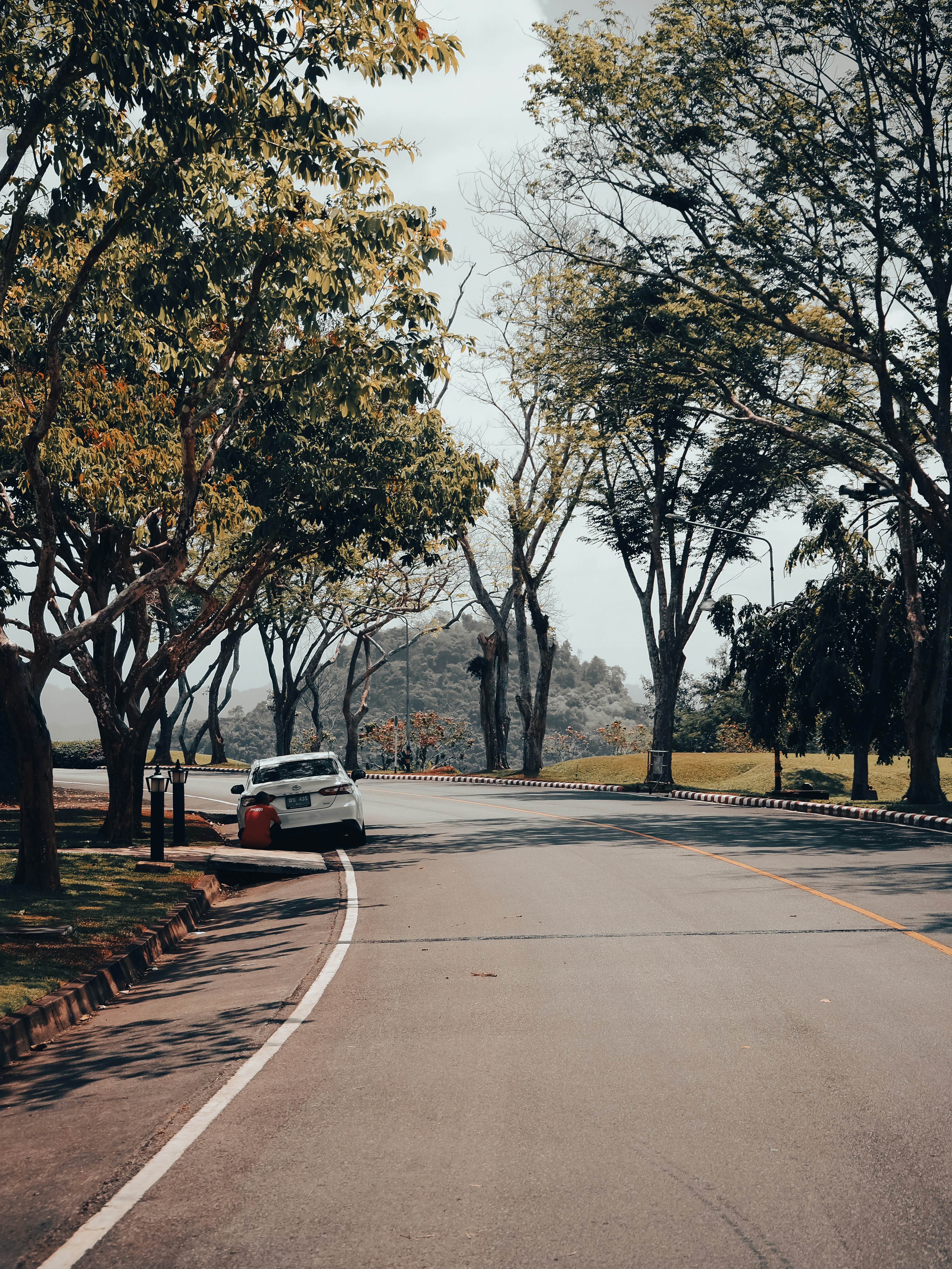 Photo by goldenantelope