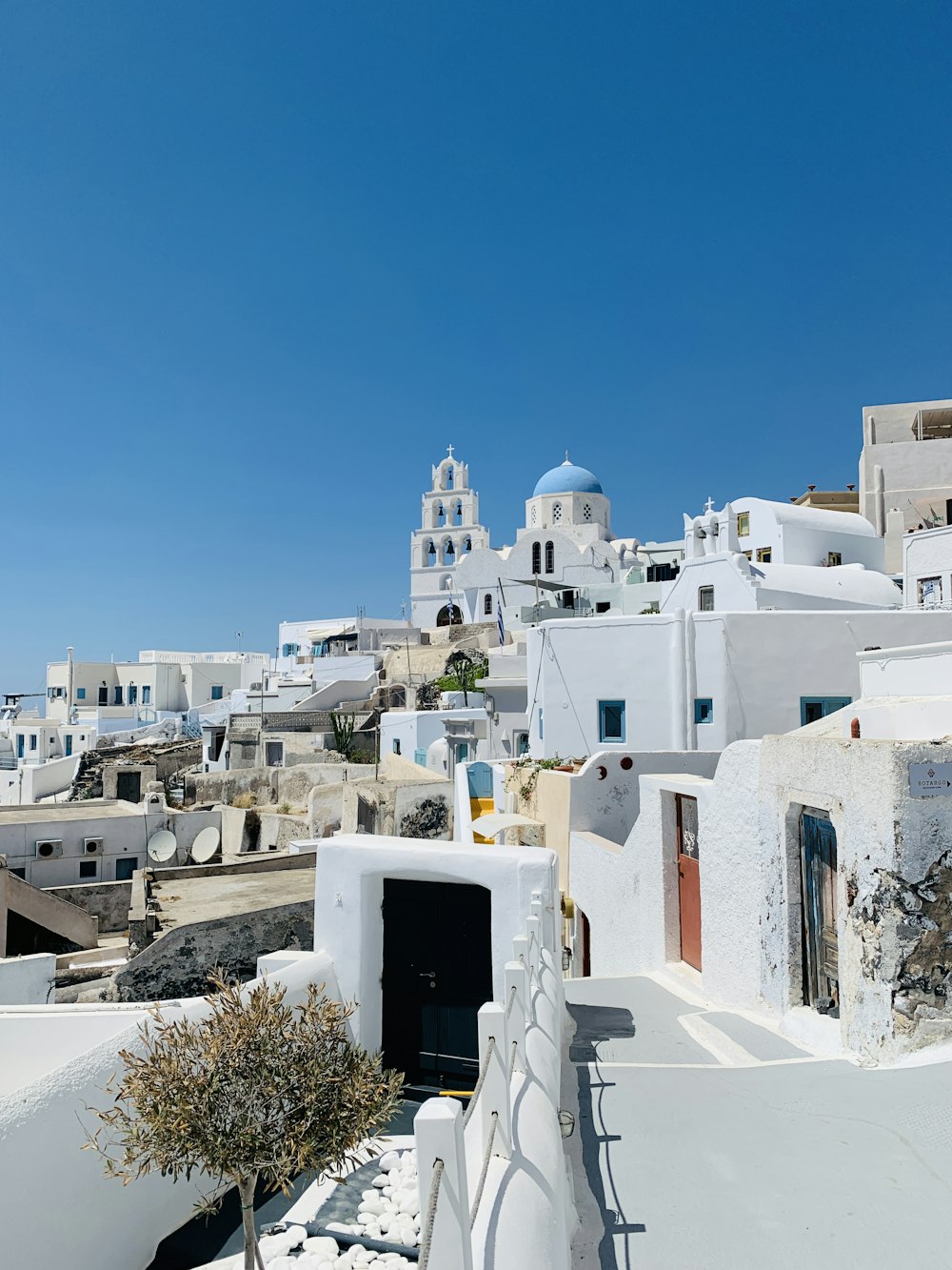 a view of a white village with a tree in the foreground