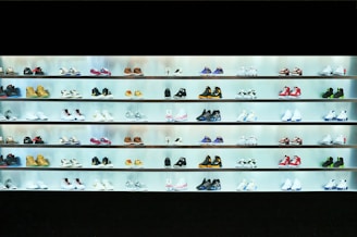a display case filled with lots of different types of shoes