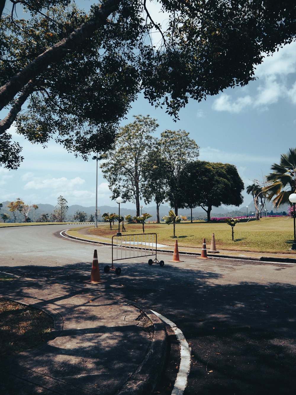 a street with a lot of trees on the side of it