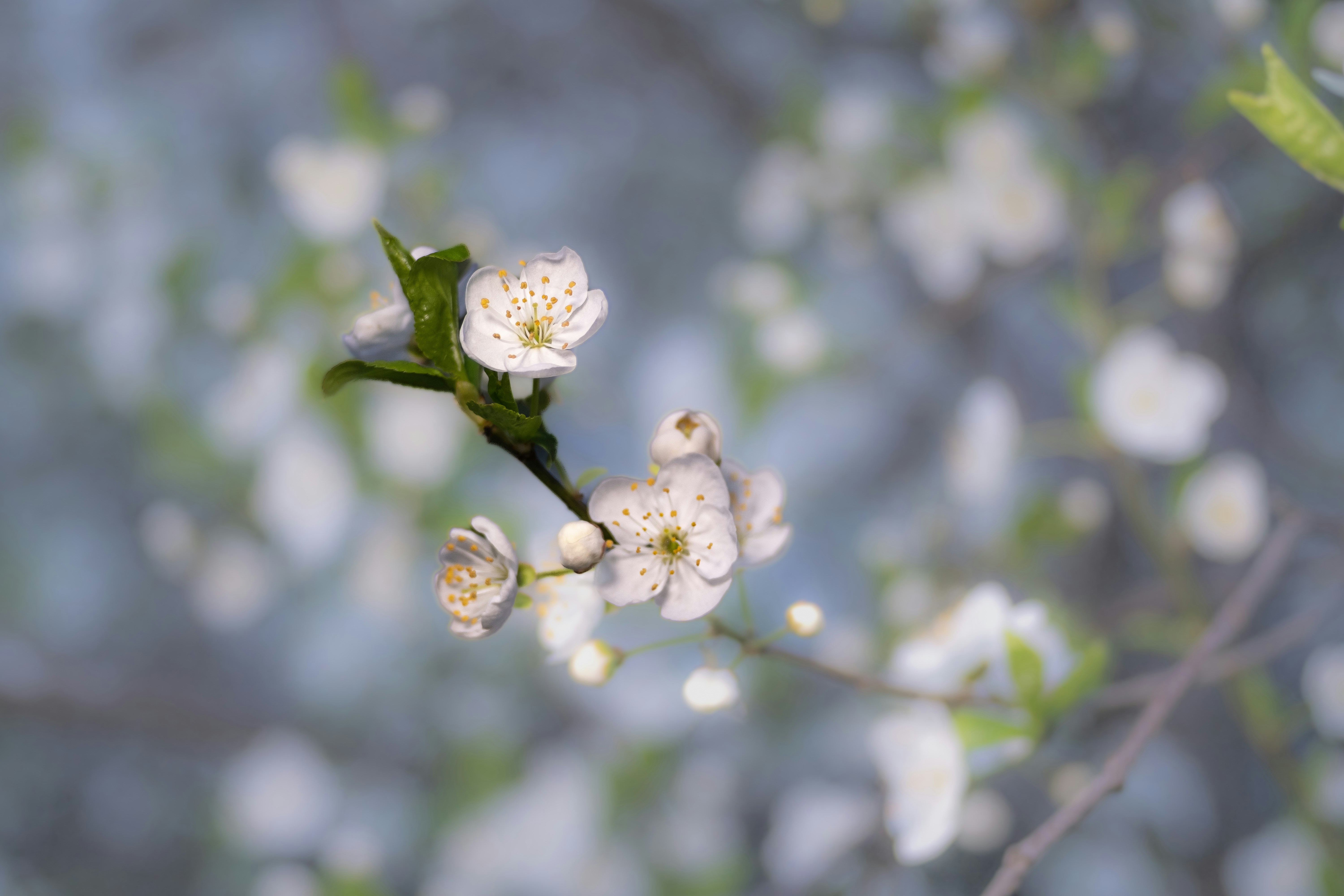 Photo by sevencolors