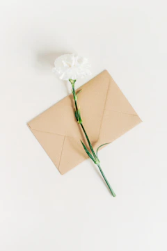 a single white flower sitting on top of an envelope