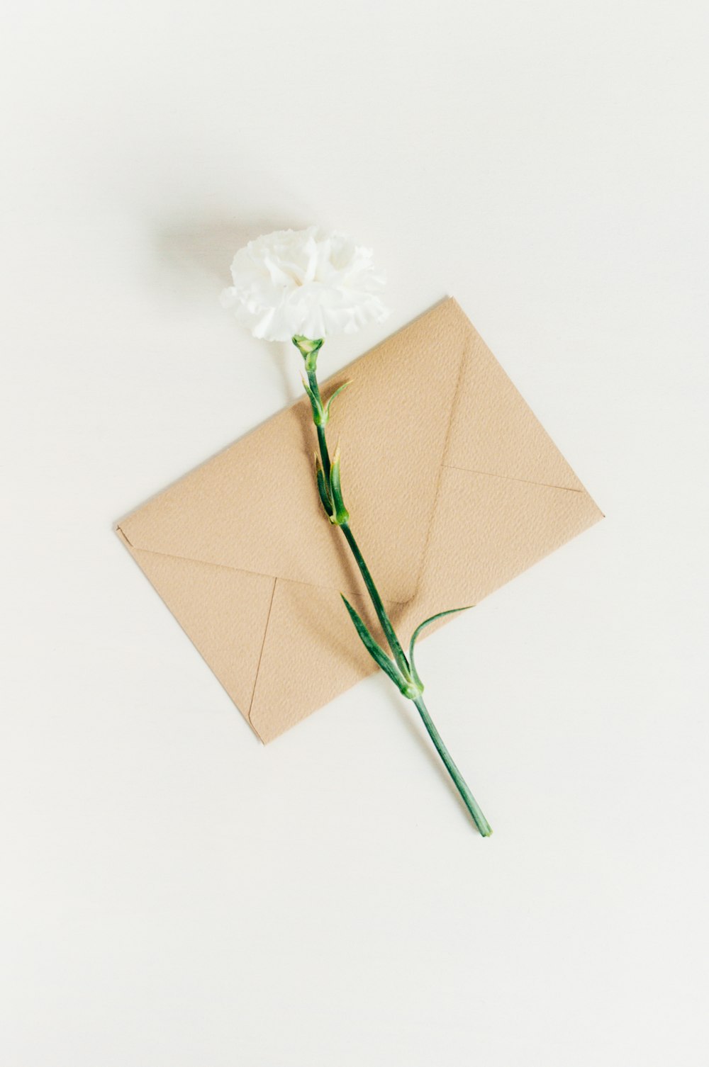 a single white flower sitting on top of an envelope