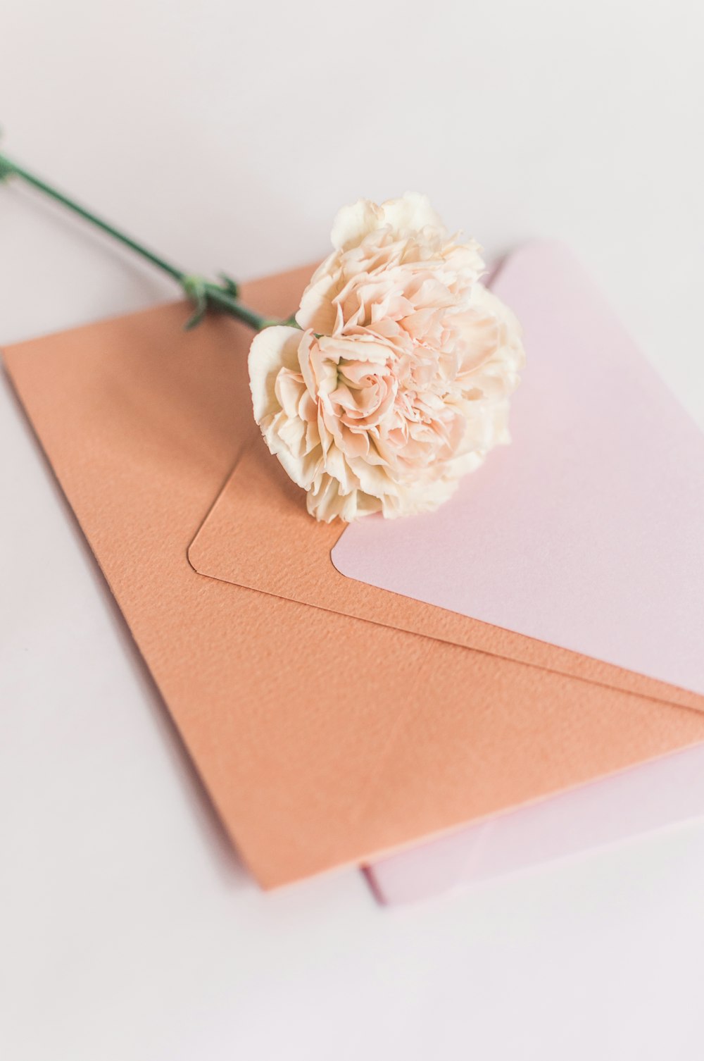 a flower on top of an envelope on a table