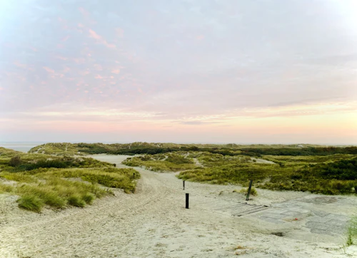 Chemin de sable serpentant dans les dunes au crépuscule