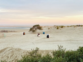 a group of people sitting on top of a sandy beach
