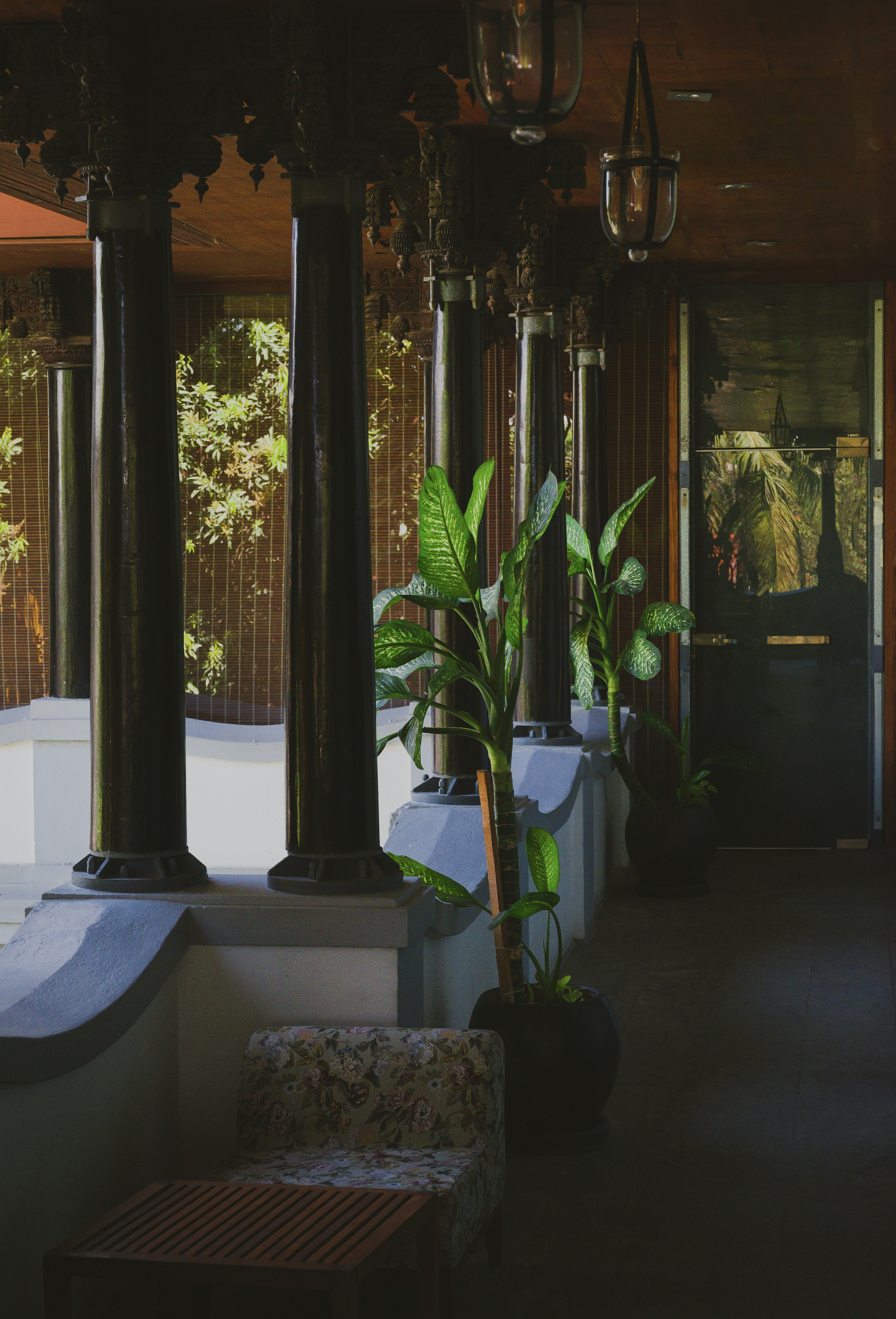 a plant in a pot on a porch