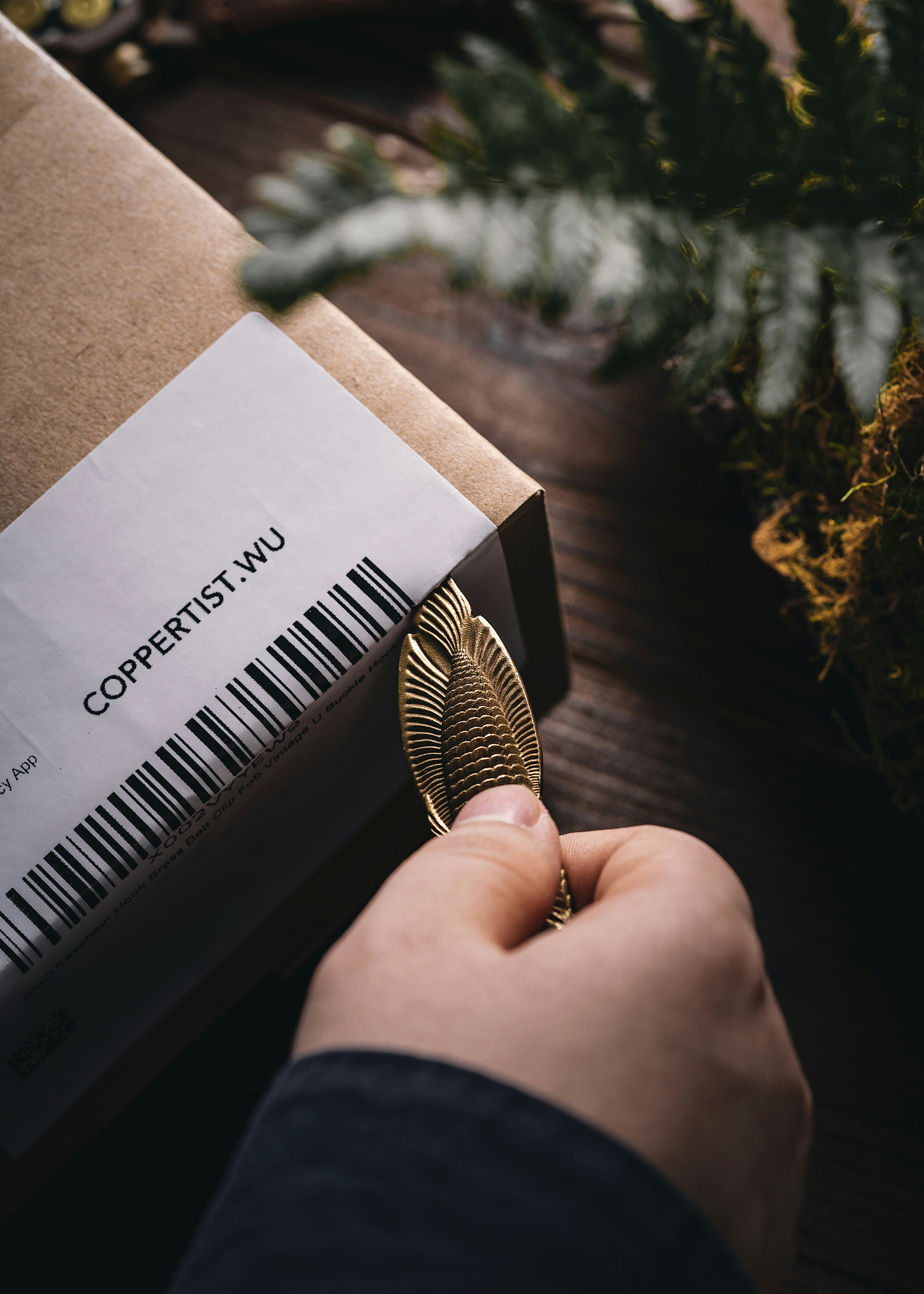 Photo by coppertistwu