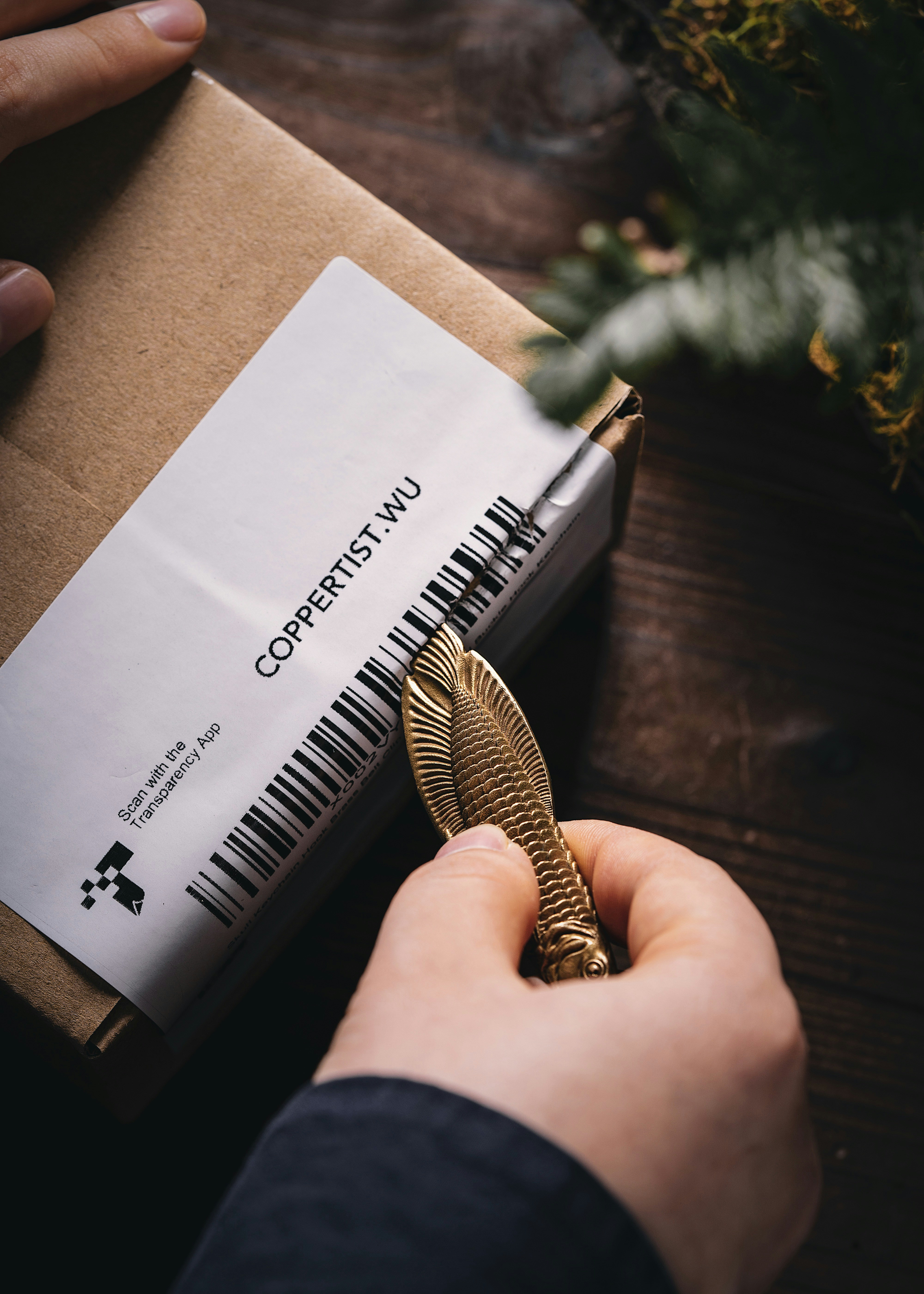 Photo by coppertistwu