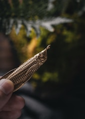 A hand is shown holding a brass object shaped like a fish with detailed scale patterns. The background is blurred with hints of green foliage.