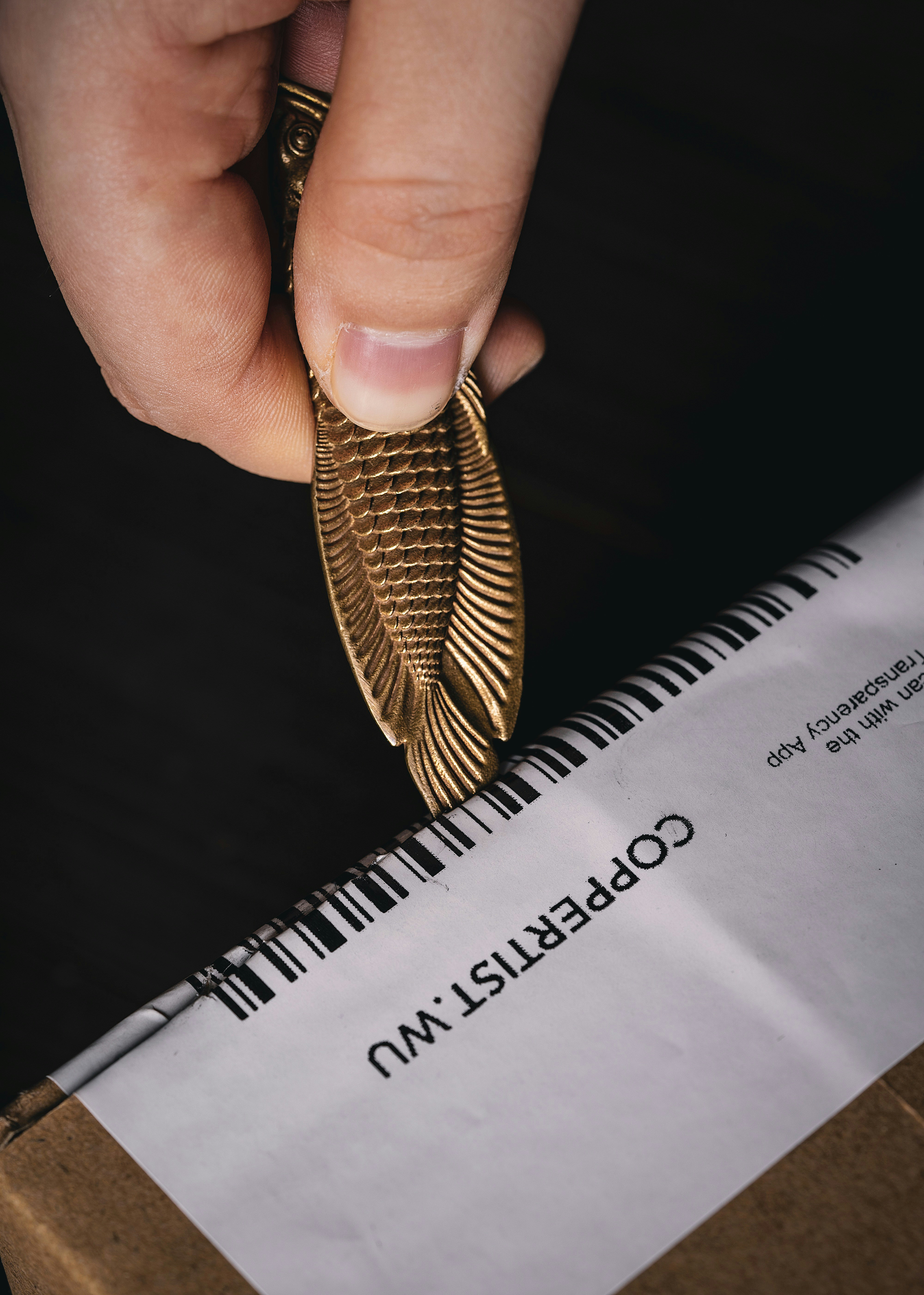 Photo by coppertistwu