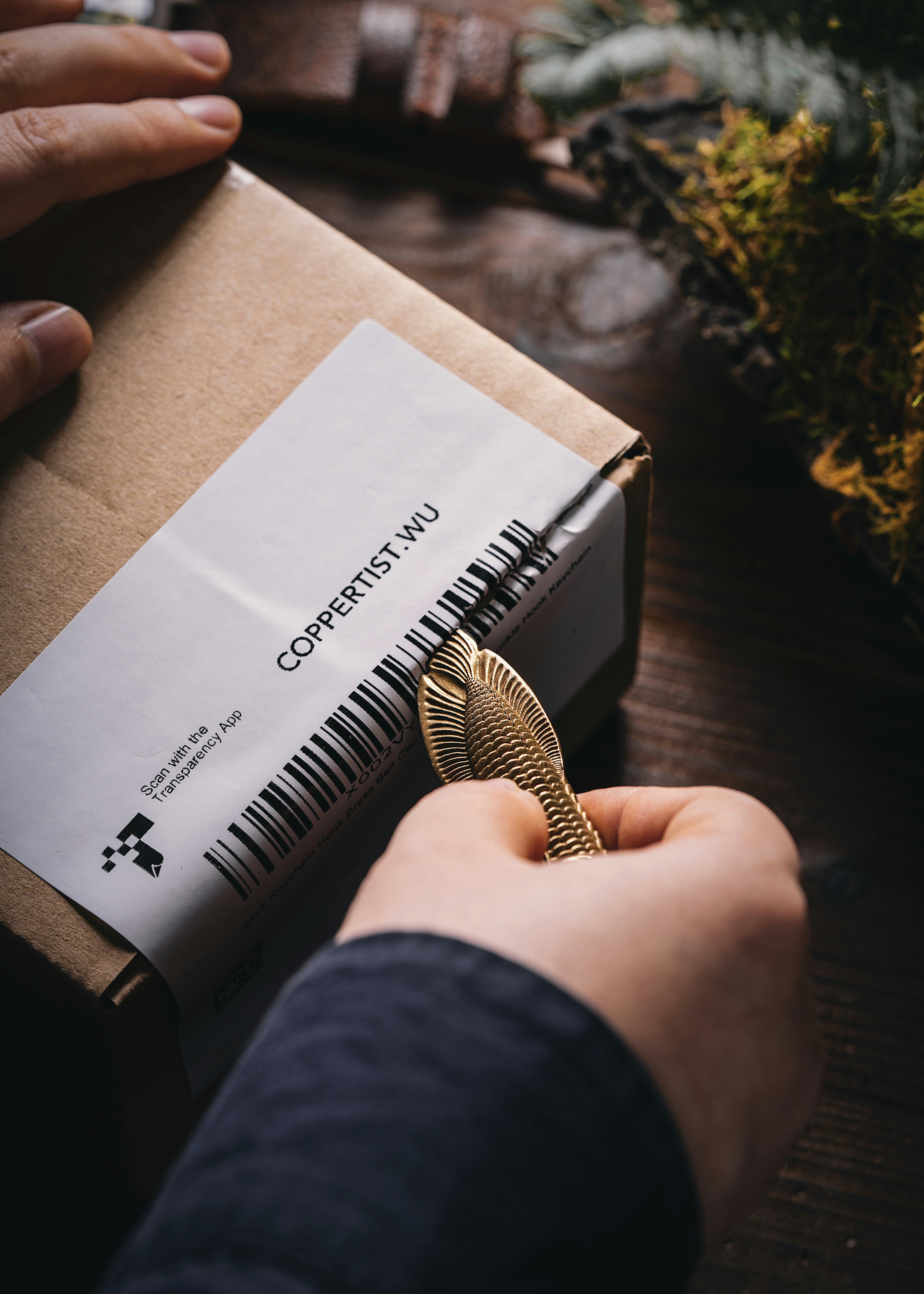 Photo by coppertistwu