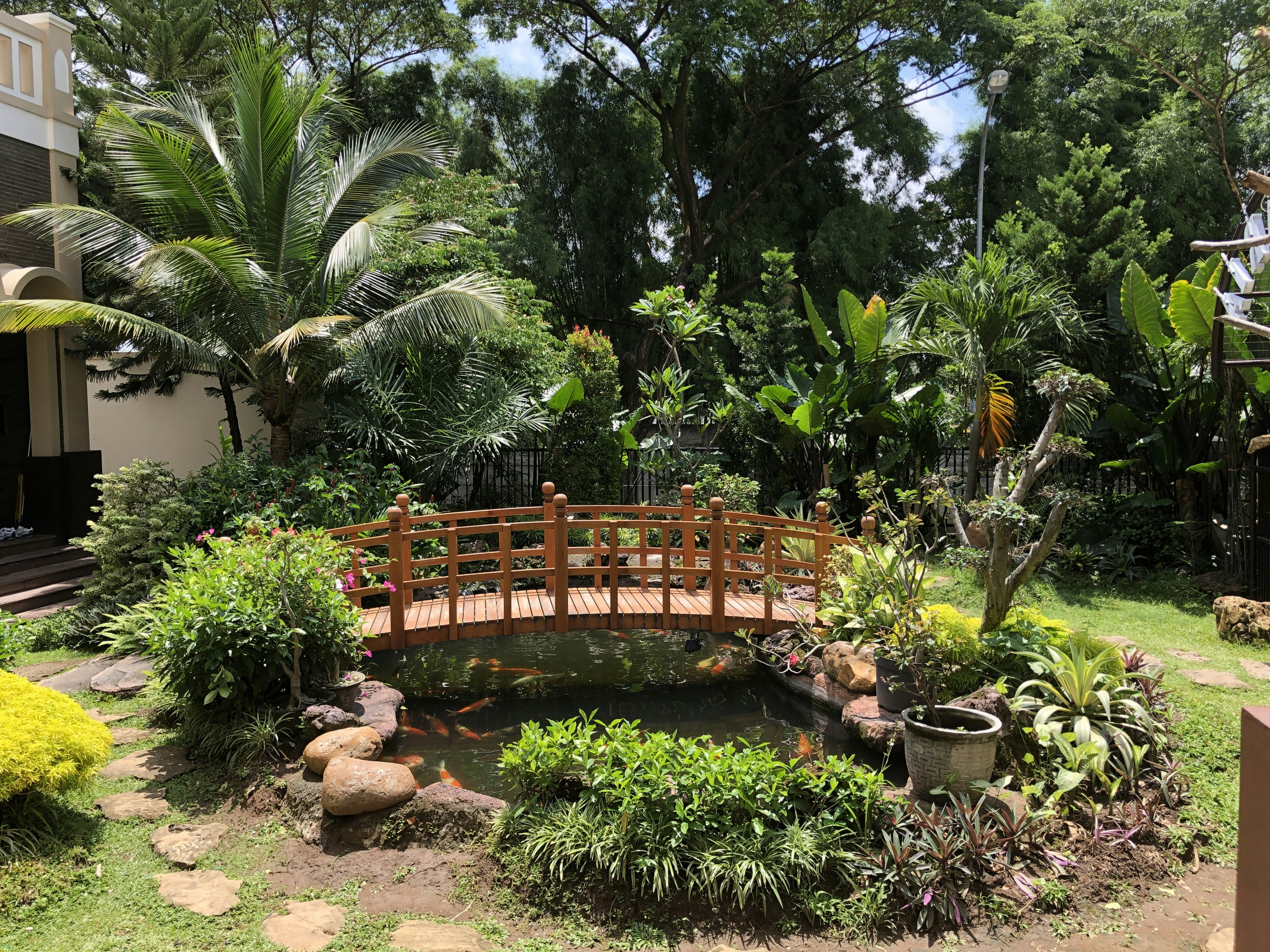 🌱Tomorrow's Social Hour: Is Trans a YT Word? (Gender Expansiveness Beyond Colonization) 🏳️‍⚧️